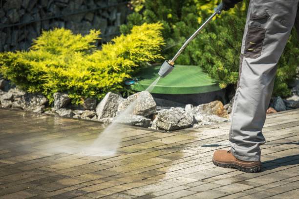 Animal Enclosure Cleaning in De Soto, MO