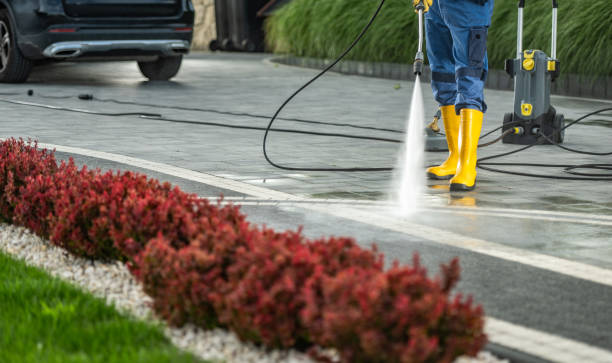 Best Driveway Pressure Washing  in De Soto, MO